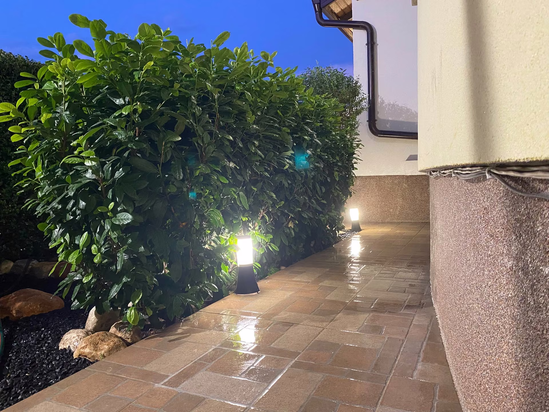 Camino ajardinado con iluminación exterior